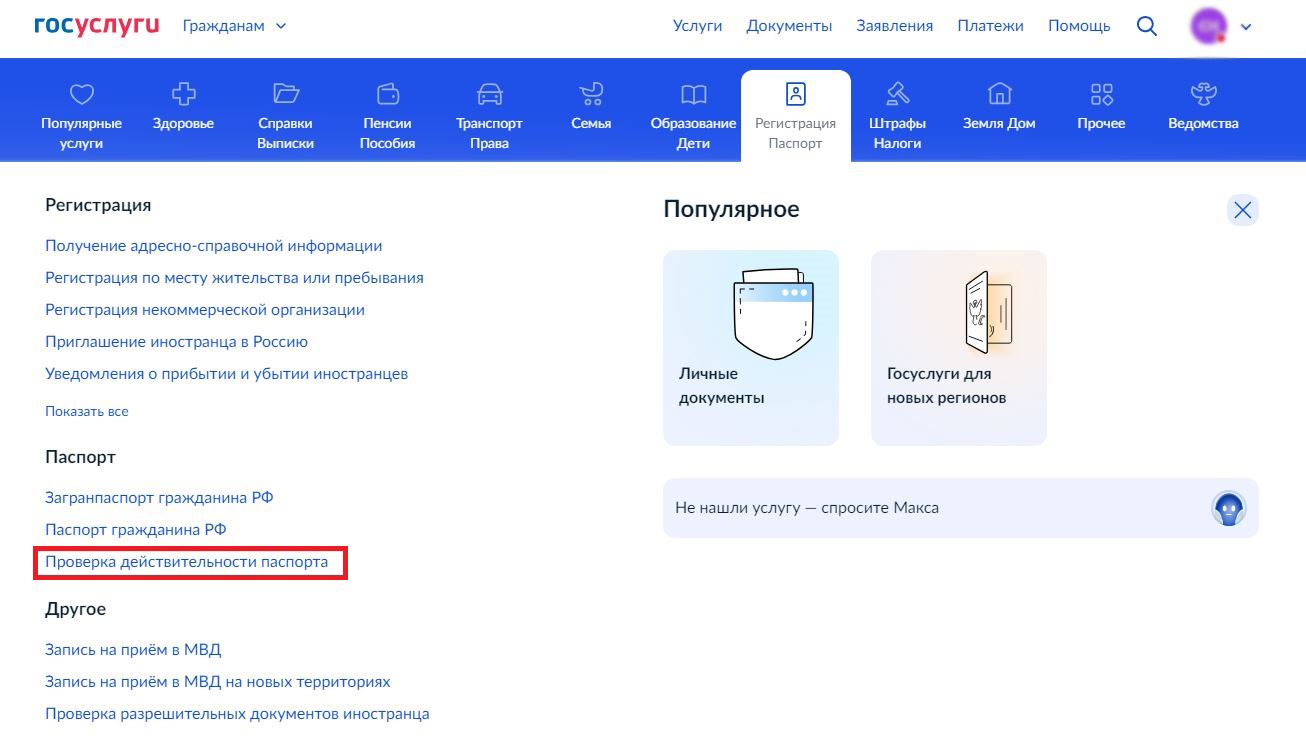 пробить паспорт по базе данных ГУ МВД