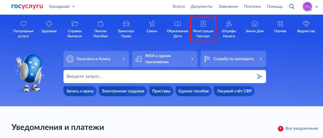 проверка паспорта на Госуслугах